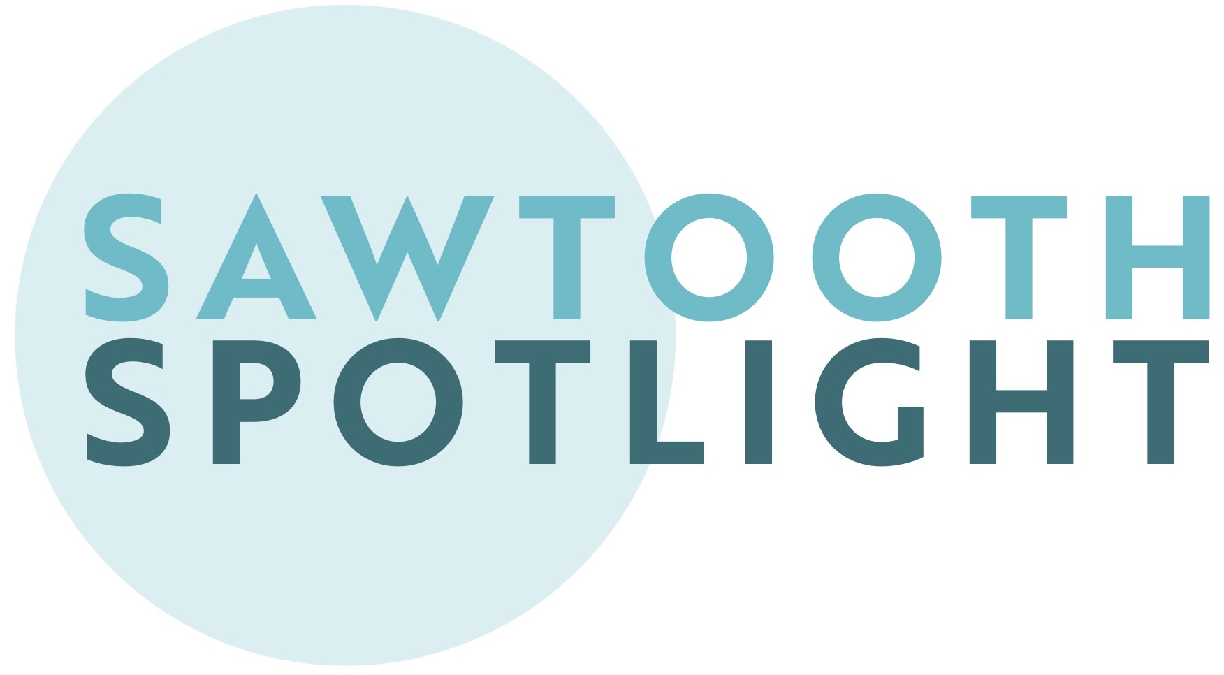 sawtooth-spotlight-logo