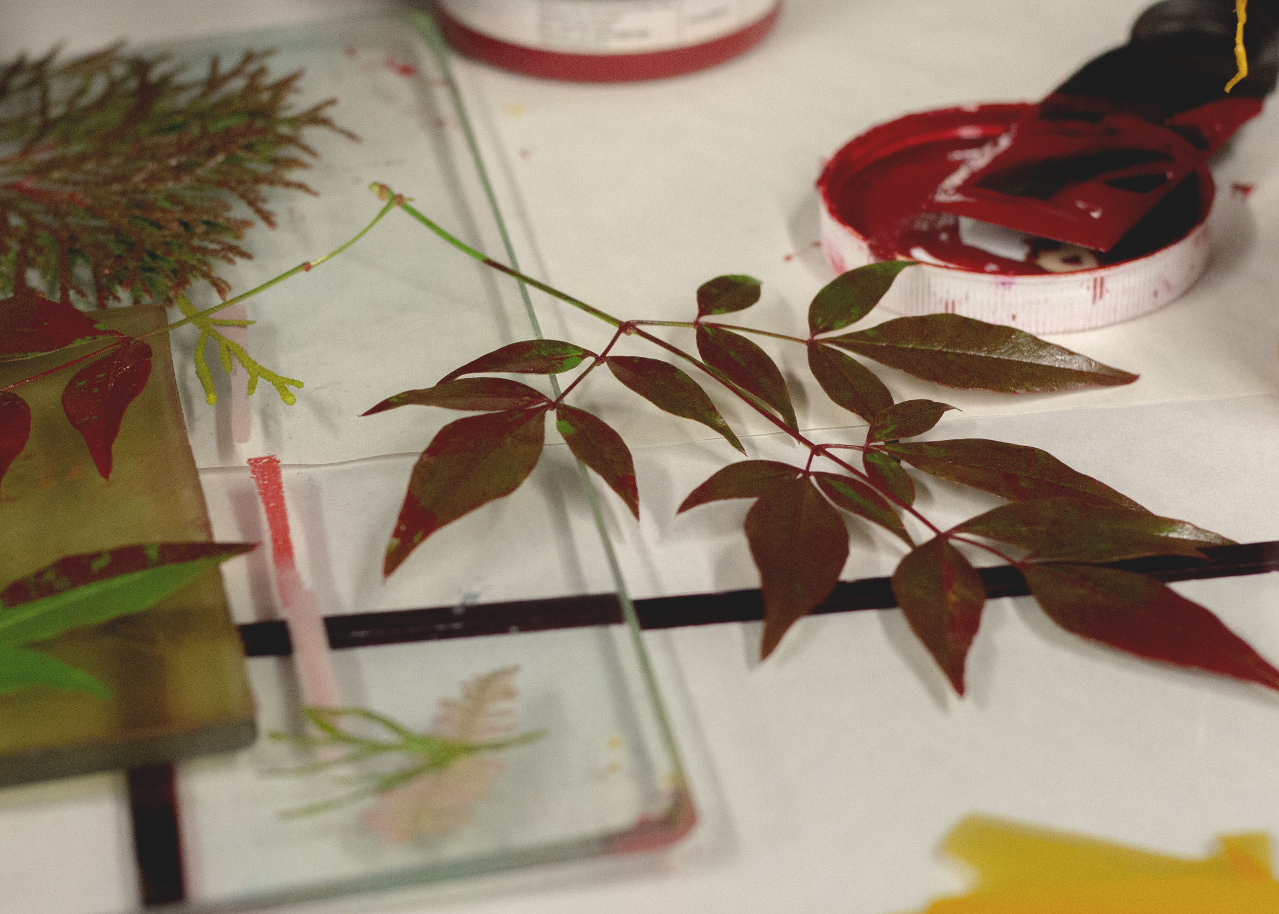 Arts-Wellness-Images-scaled